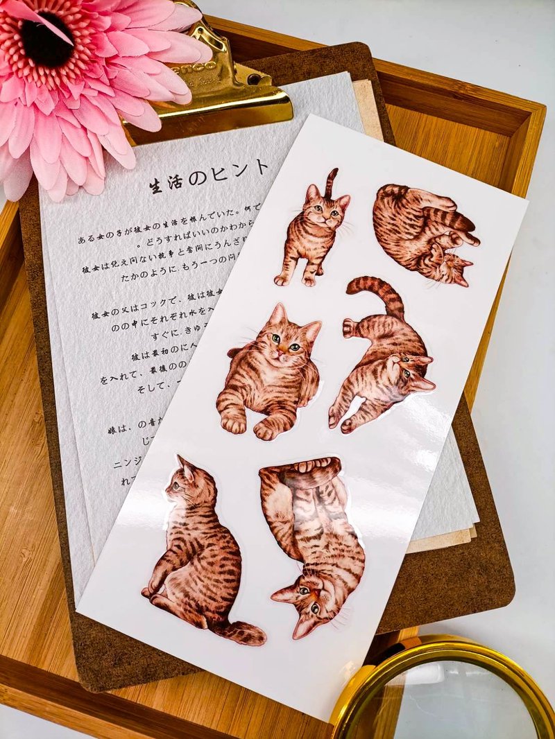 5K062_五口美 _虎斑之願_Tabby Cat C/轉印貼紙 - 贴纸 - 其他材质 多色