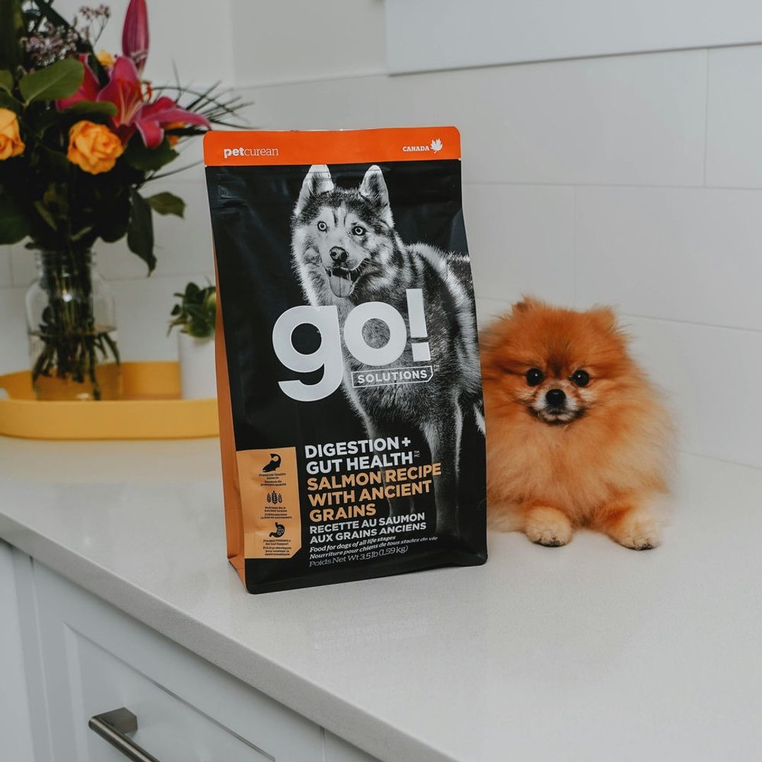 【狗主食】go! 鲑鱼全犬 肠胃保健系列 狗饲料 颗粒饲料 WDJ - 狗罐头/鲜食 - 新鲜食材 
