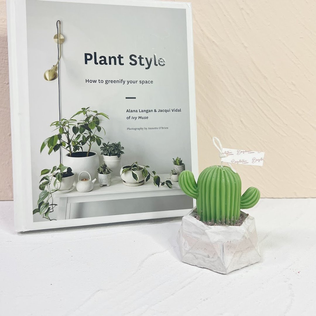 仙人掌植物盘栽香薰蜡烛 - 蜡烛/烛台 - 蜡 绿色