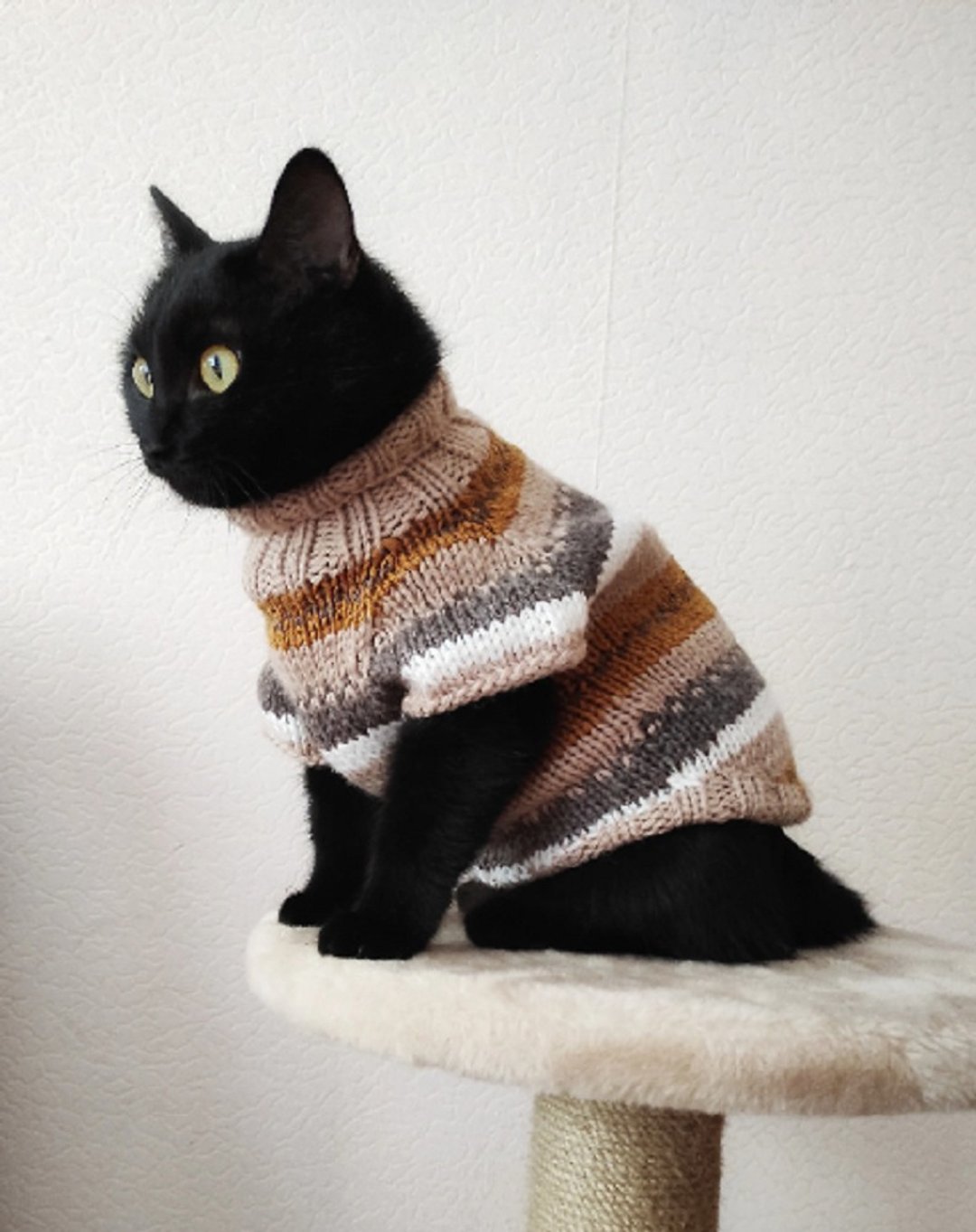 Norwegian sweater for pet Cat sweater Pet clothes Knitted pet clothes Cat jumper - 衣/帽 - 羊毛 