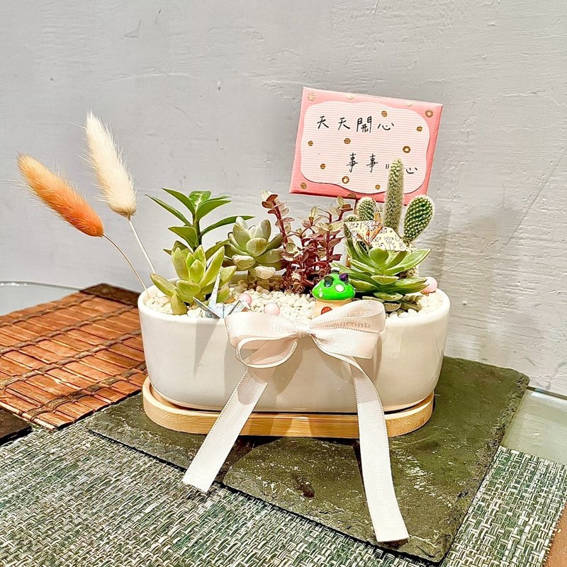 台中市 多肉植物 多肉组盆 盆栽送礼 花艺 日式盆栽 定制化送礼 - 植栽/盆栽 - 植物．花 绿色