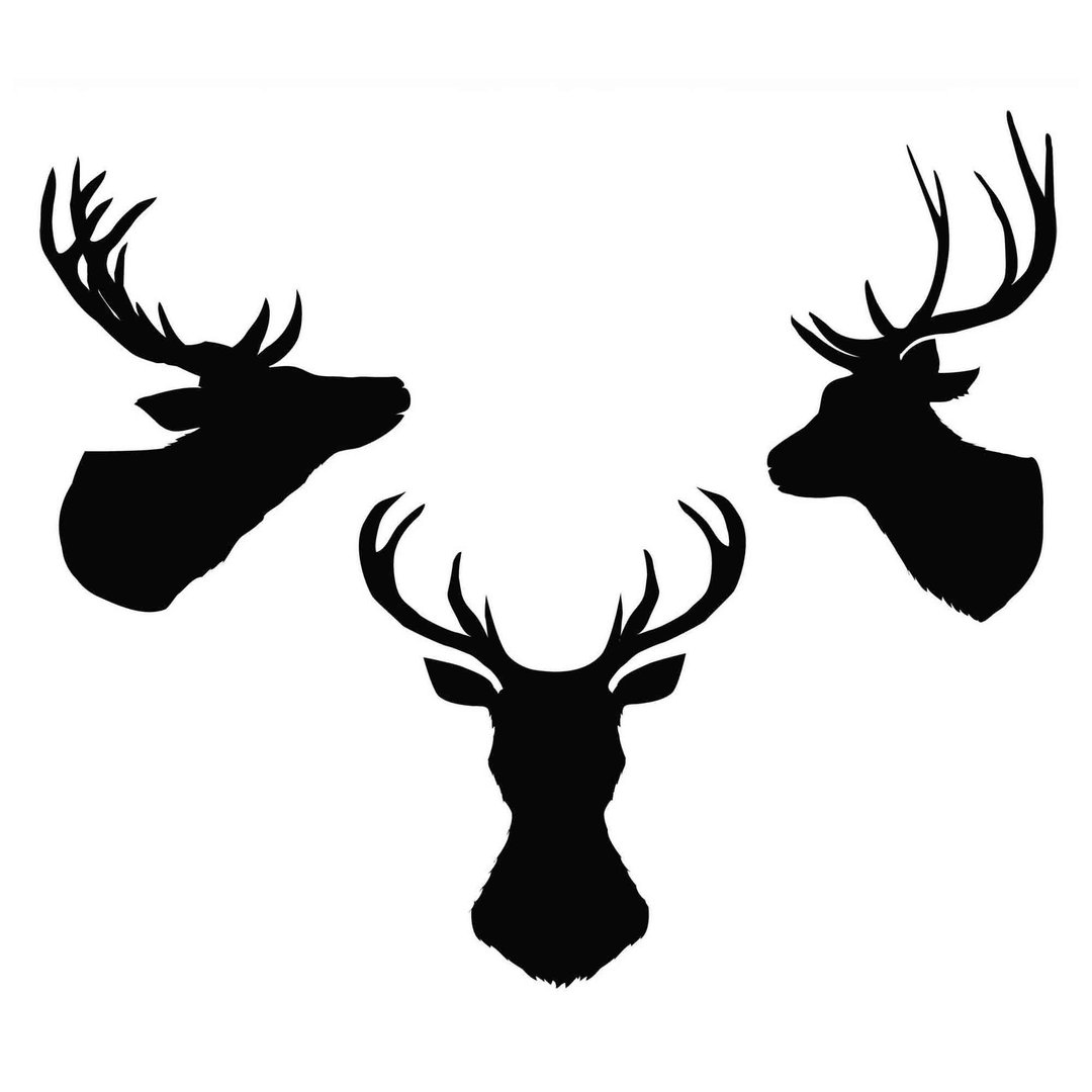 Deer head svg, stag head svg, deer head pdf, stag head pdf, deer head template - 图文模板设计 - 其他材质 