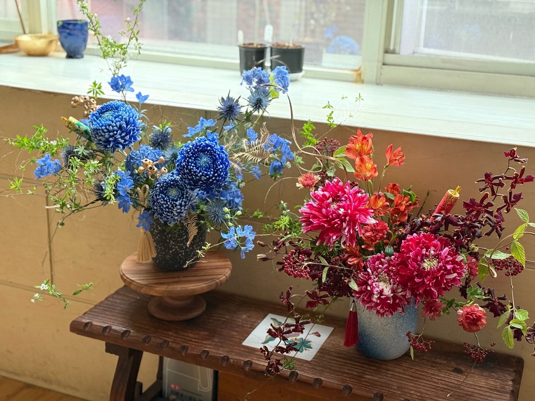 喜气鲜花盆花 牡丹菊 新年花艺 开幕花艺 祝贺礼盒 迎春 帝王菊 - 植栽 - 植物．花 多色