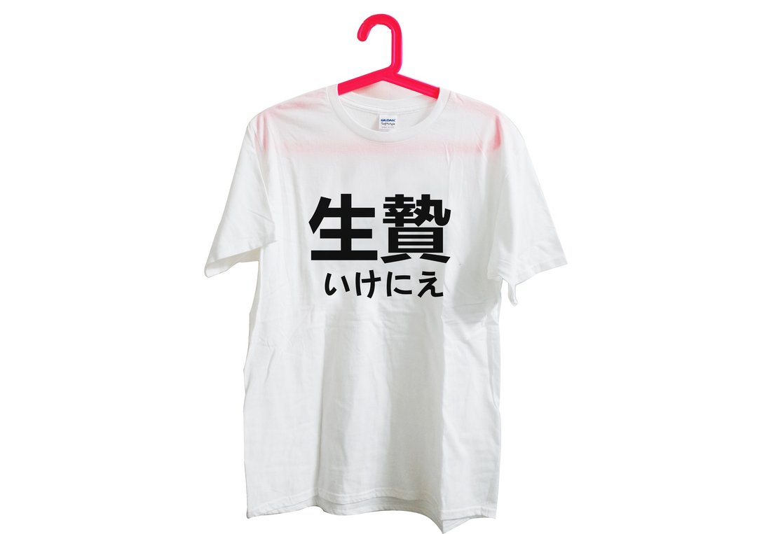 【隐性/显性】::手工印制::T恤::‘生贽’设计馆上的字皆可印制///独创/文青/T恤/礼物/中性/不撞/限量/S/M/L/XL/XXL中性/绢印/白T/中性/ - 中性连帽卫衣/T 恤 - 其他材质 白色