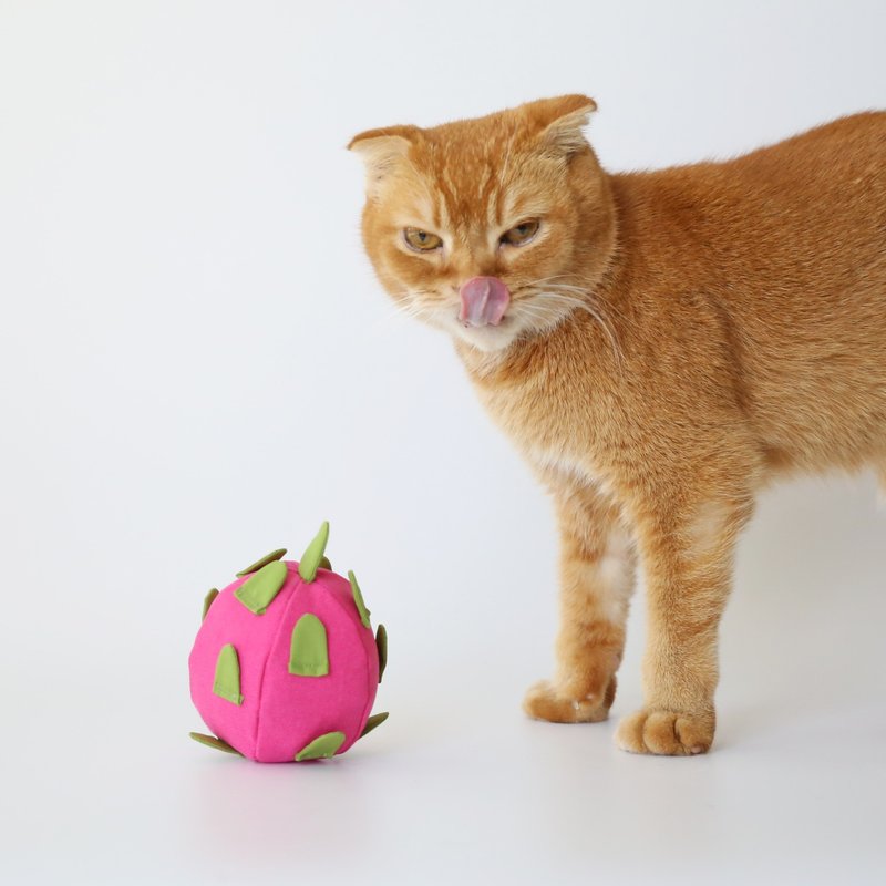 红龙果 火龙果 手作 猫草玩具 可清洗 重复用 - 玩具 - 棉．麻 多色