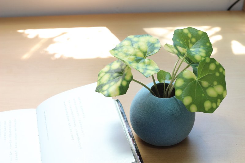 水培植栽│星点山菊_室内植物 办公室盆栽 店内摆设 送礼 - 植栽/盆栽 - 陶 
