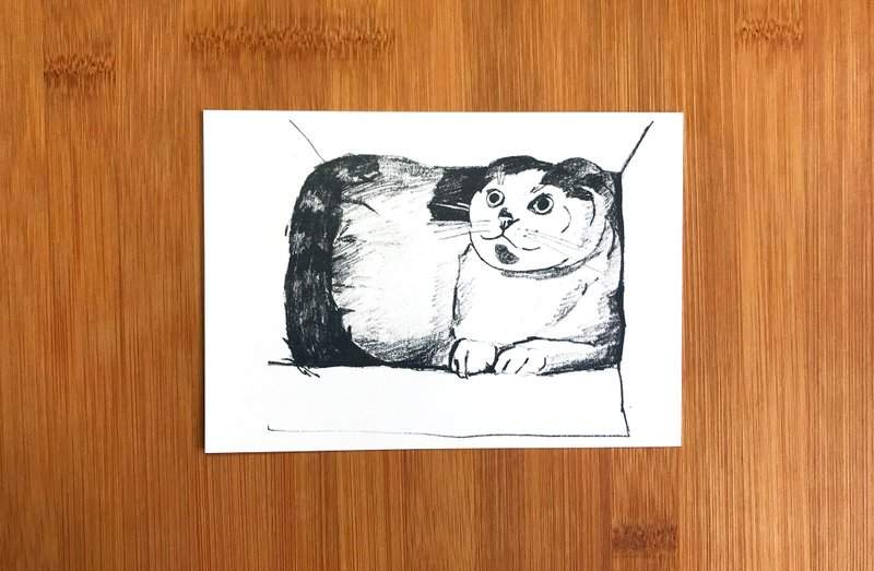 猫的表情 -- 猫型盒子 - 卡片/明信片 - 纸 白色