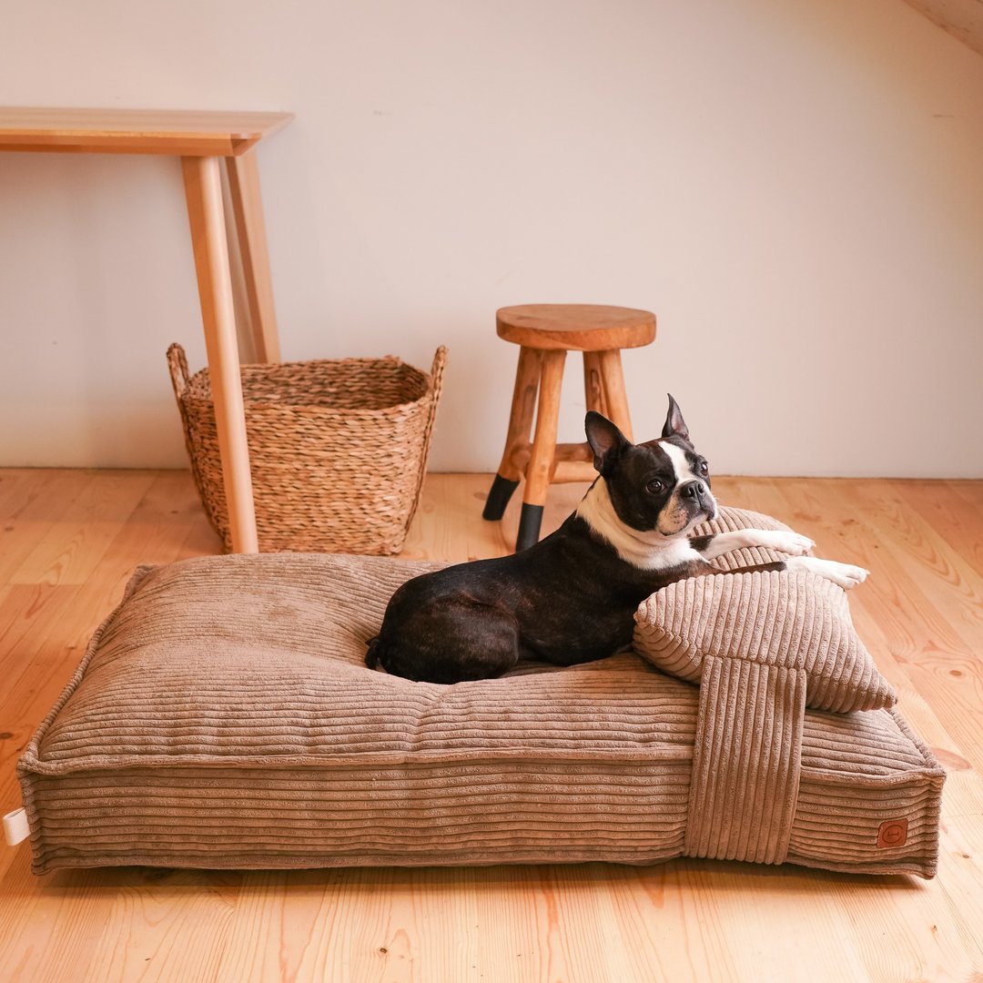 Memory Foam Orthopedic Dog Mat size M 80x60 cm / 31x24 inches Cacao - 床垫/笼子 - 其他材质 咖啡色