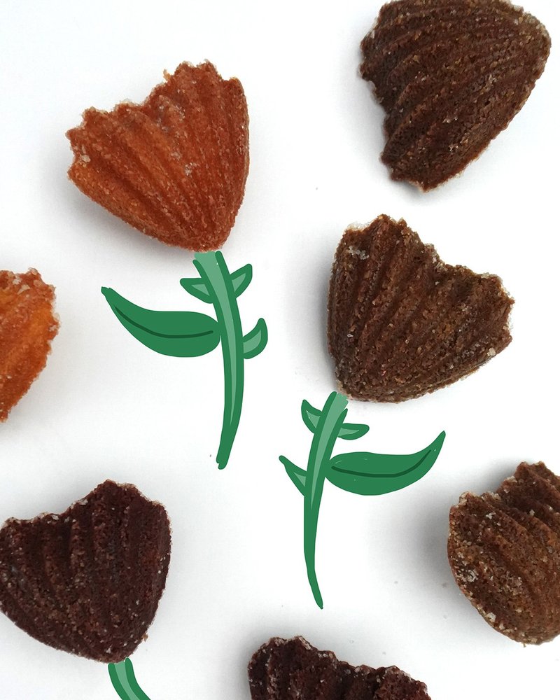 【desertLAND】沙漠玫瑰玛德莲礼盒 (8入) - 蛋糕/甜点 - 其他材质 