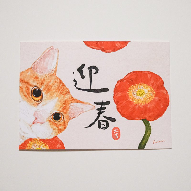 明信片 橘白猫迎春贺年卡 - 红包/春联 - 纸 红色
