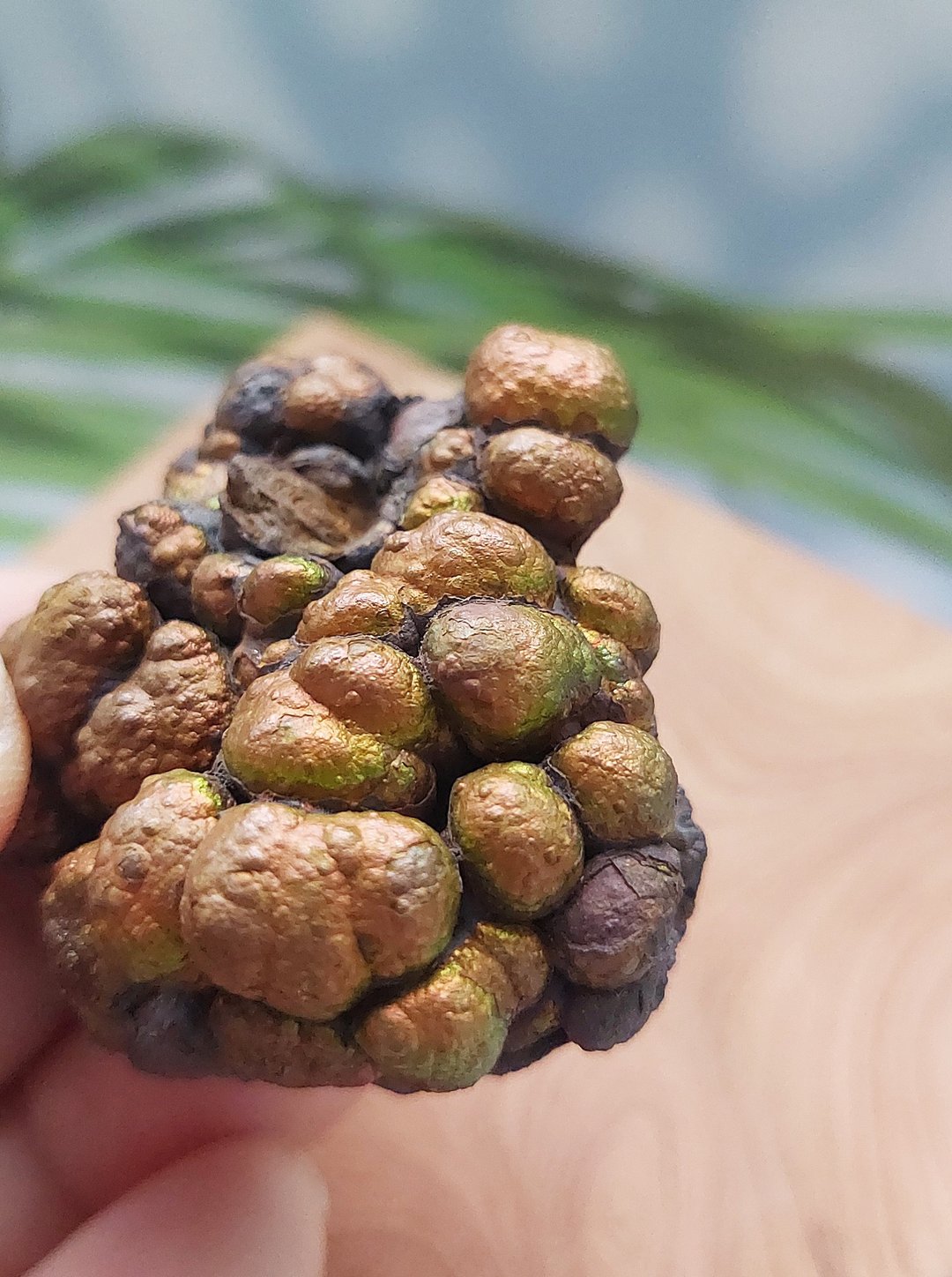 Limonite 广东产地 彩褐铁矿 天然矿石 原矿 - 摆饰 - 其他材质 