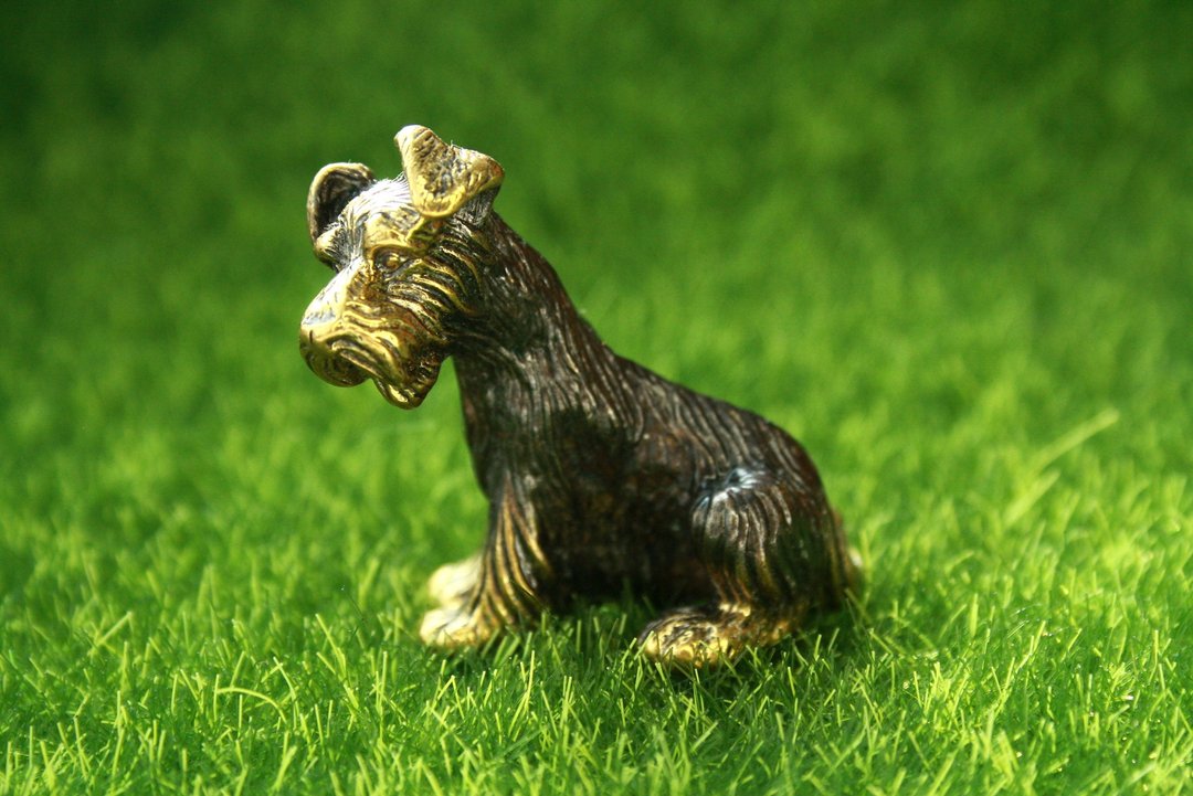 Schnauzer dog - miniature statuette of brass, metal figurine - 摆饰 - 铜/黄铜 