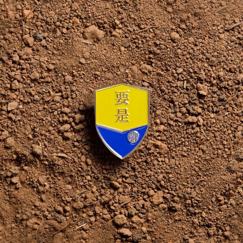 〔SALUTO．敬你〕说到做到系列 / 徽章 / 要是 - 胸针 - 其他金属 绿色