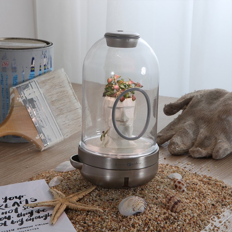 为你而砌 疗愈盆栽 迷你植物灯 网纹草 /包含活体植物 - 植栽/盆栽 - 植物．花 黑色