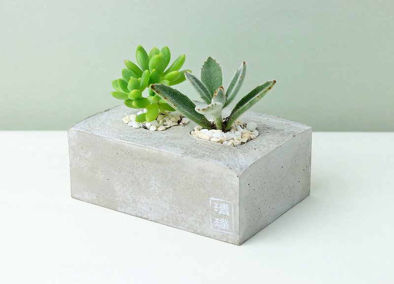 《清璞技研》多肉仙人掌植物盆栽/水泥花盆--疗愈送礼系列（并肩） - 植栽/盆栽 - 植物．花 红色