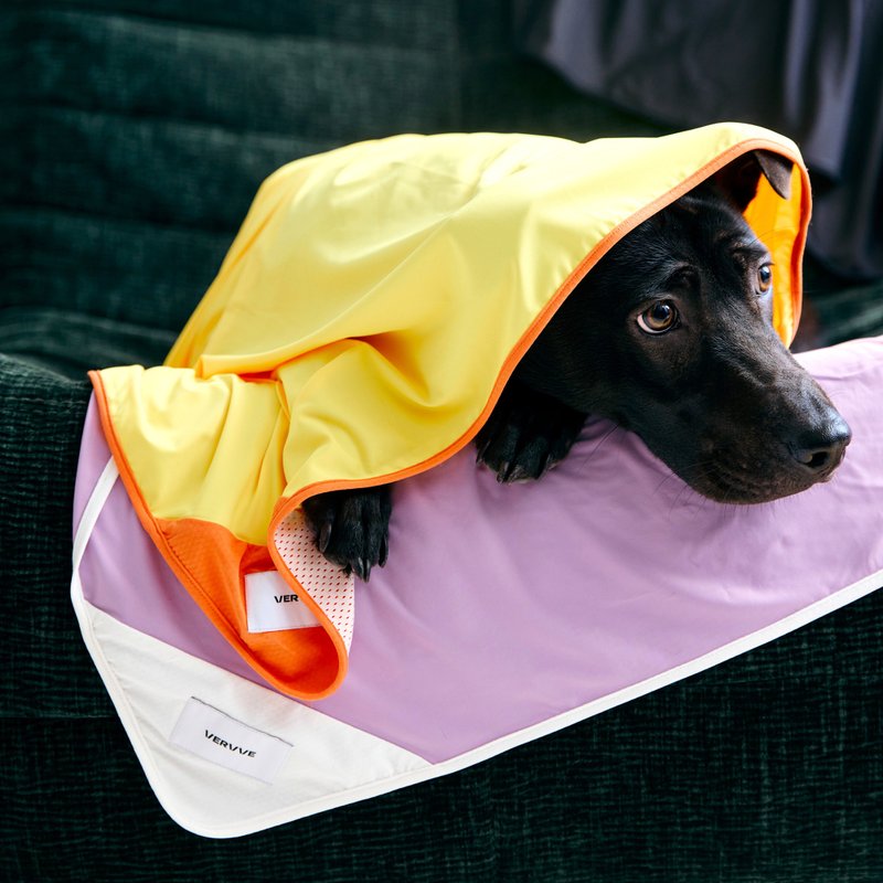 【 VERVVE 】Soda 凉感宠物垫 - 衣/帽 - 其他材质 