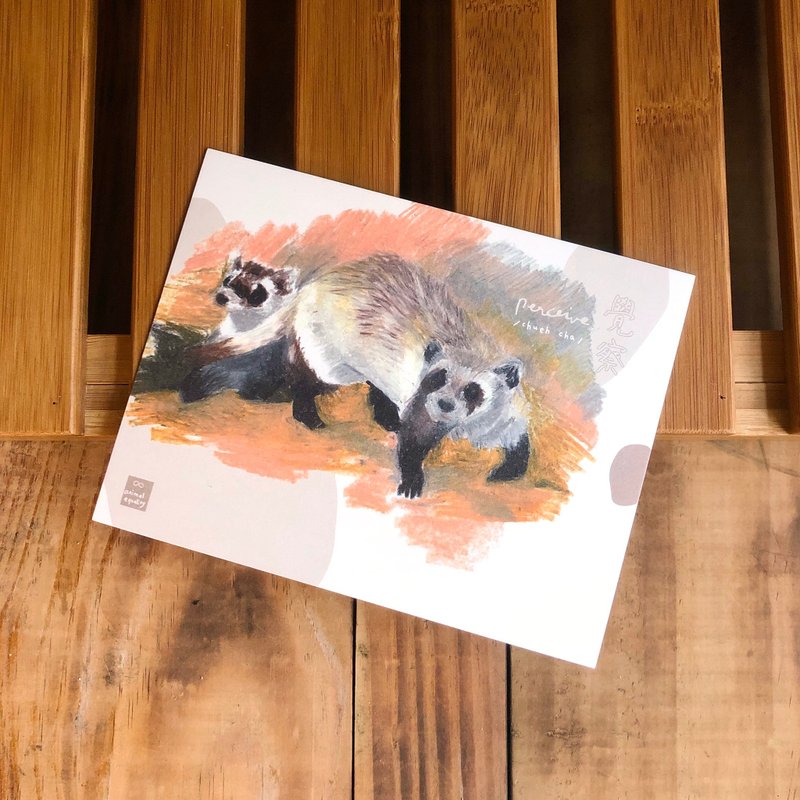 黑足鼬, 濒危物种:明信片小卡/ 一卡一捐 - 卡片/明信片 - 纸 白色