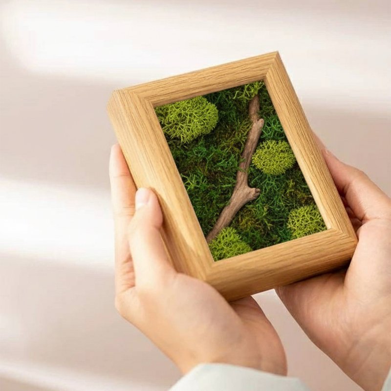 一坪森林 微景观扩香画框 - 香薰/精油/线香 - 植物．花 绿色