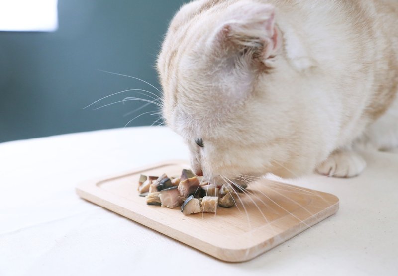 毛寻味-宠物鲜食鲭鱼排 - 猫罐头/鲜食 - 其他材质 绿色