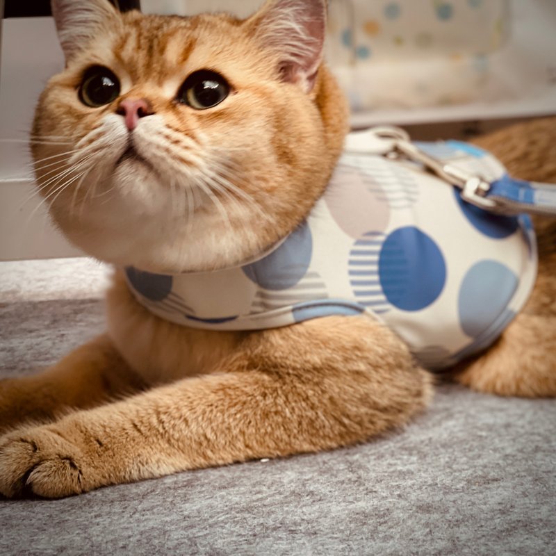 SHAPU La-大角度胸背衣-大蓝圆(不含牵绳) - 项圈/牵绳 - 聚酯纤维 