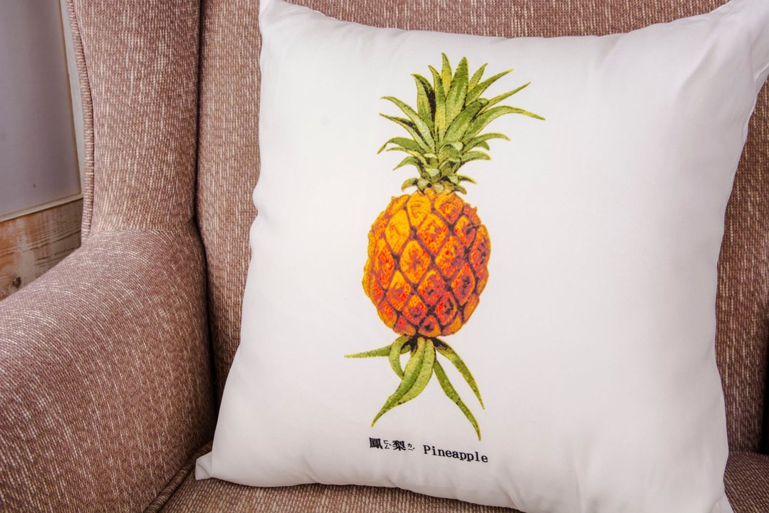 抱枕-凤梨 Pineapple ( 双面抱枕 ) - 枕头/抱枕 - 聚酯纤维 橘色