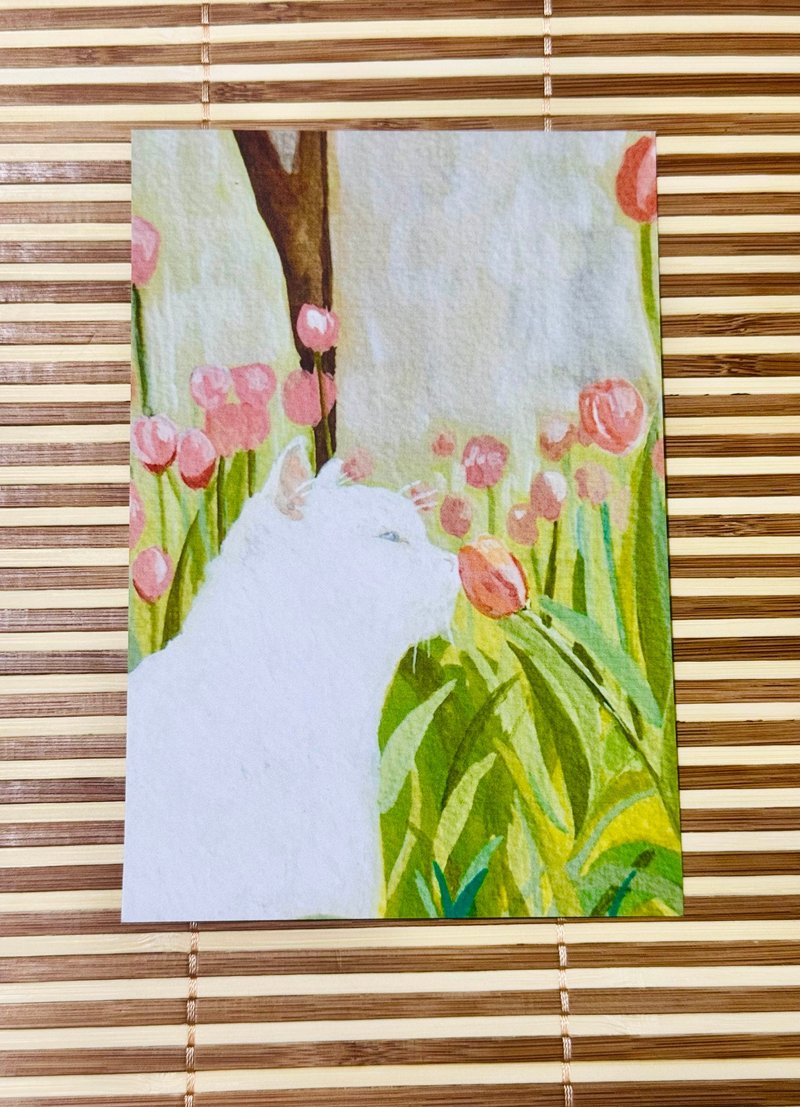 |NO.1 猫咪| 水彩插画明信片 - 卡片/明信片 - 纸 