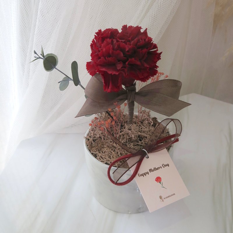 母亲节礼物ー大理石纹单朵永生康乃馨桌花 | 永生花/干燥花 - 干燥花/捧花 - 植物．花 红色