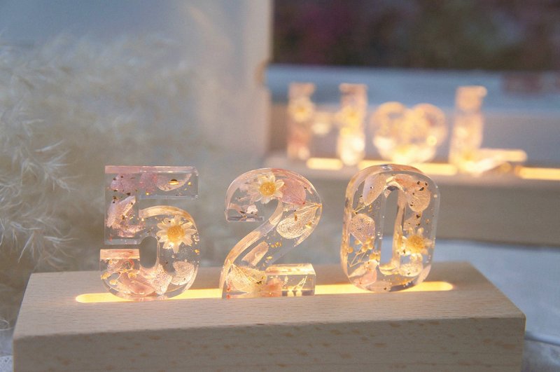 DREAM 定制化浪漫永生花小夜灯 字母灯摆设 情人节 母亲节礼物 - 灯具/灯饰 - 植物．花 紫色