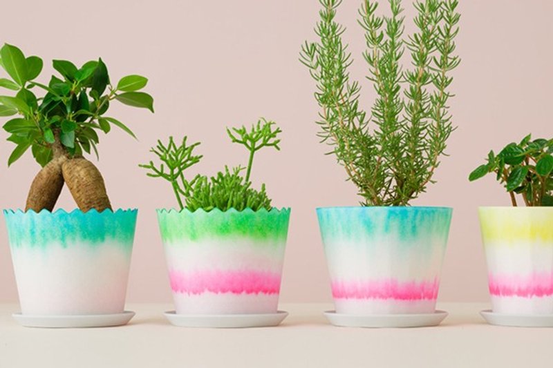 纸的工作所-纸花器(直线) - 植栽/盆栽 - 纸 