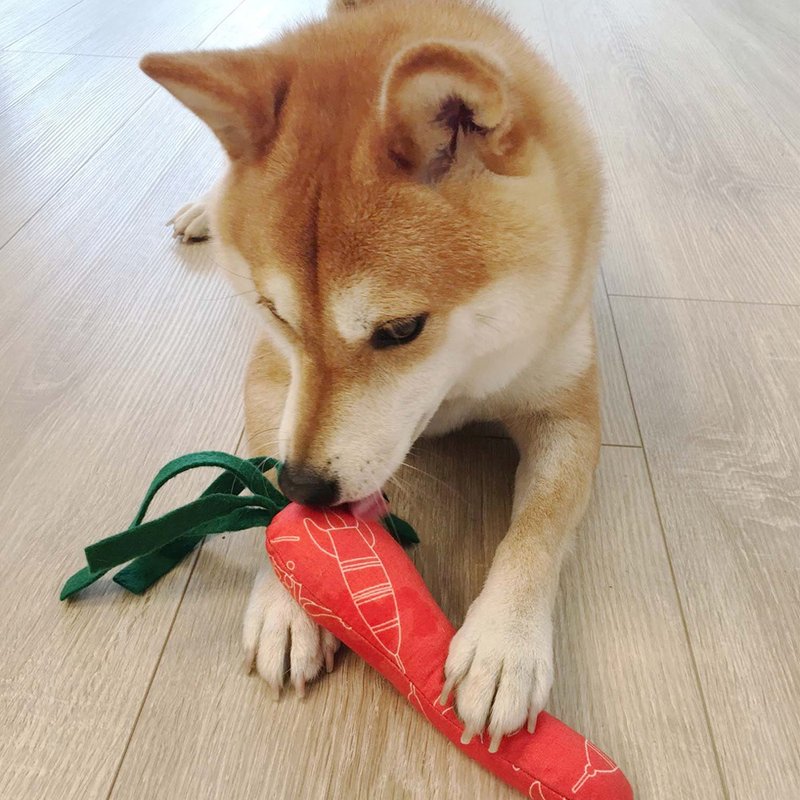 狗玩具- 福系列/萝卜(红) - 玩具 - 棉．麻 红色