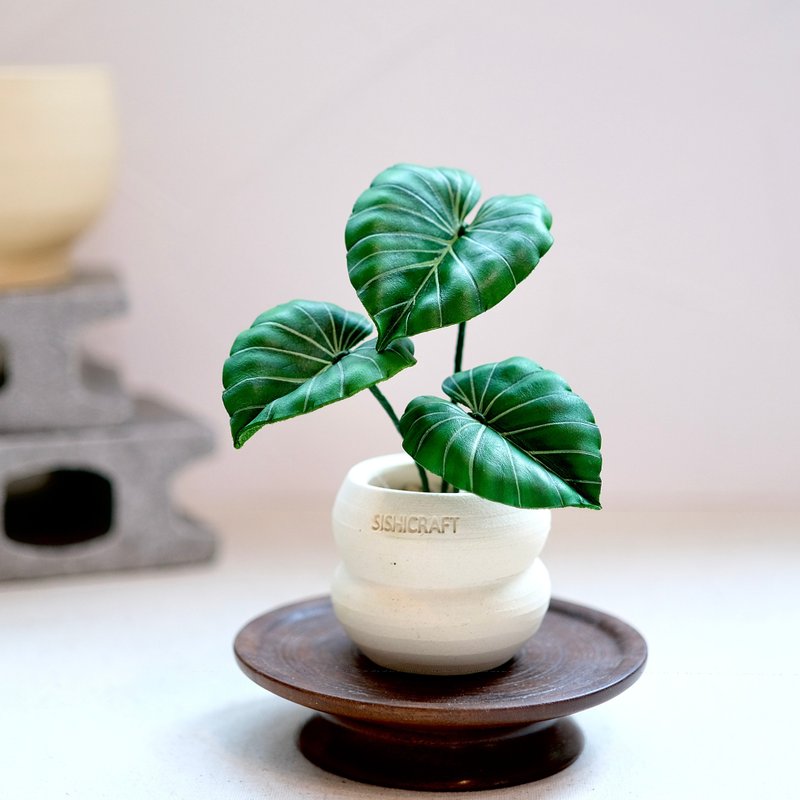 锦缎蔓绿绒－手工革制小盆栽 送礼 - 植栽/盆栽 - 真皮 