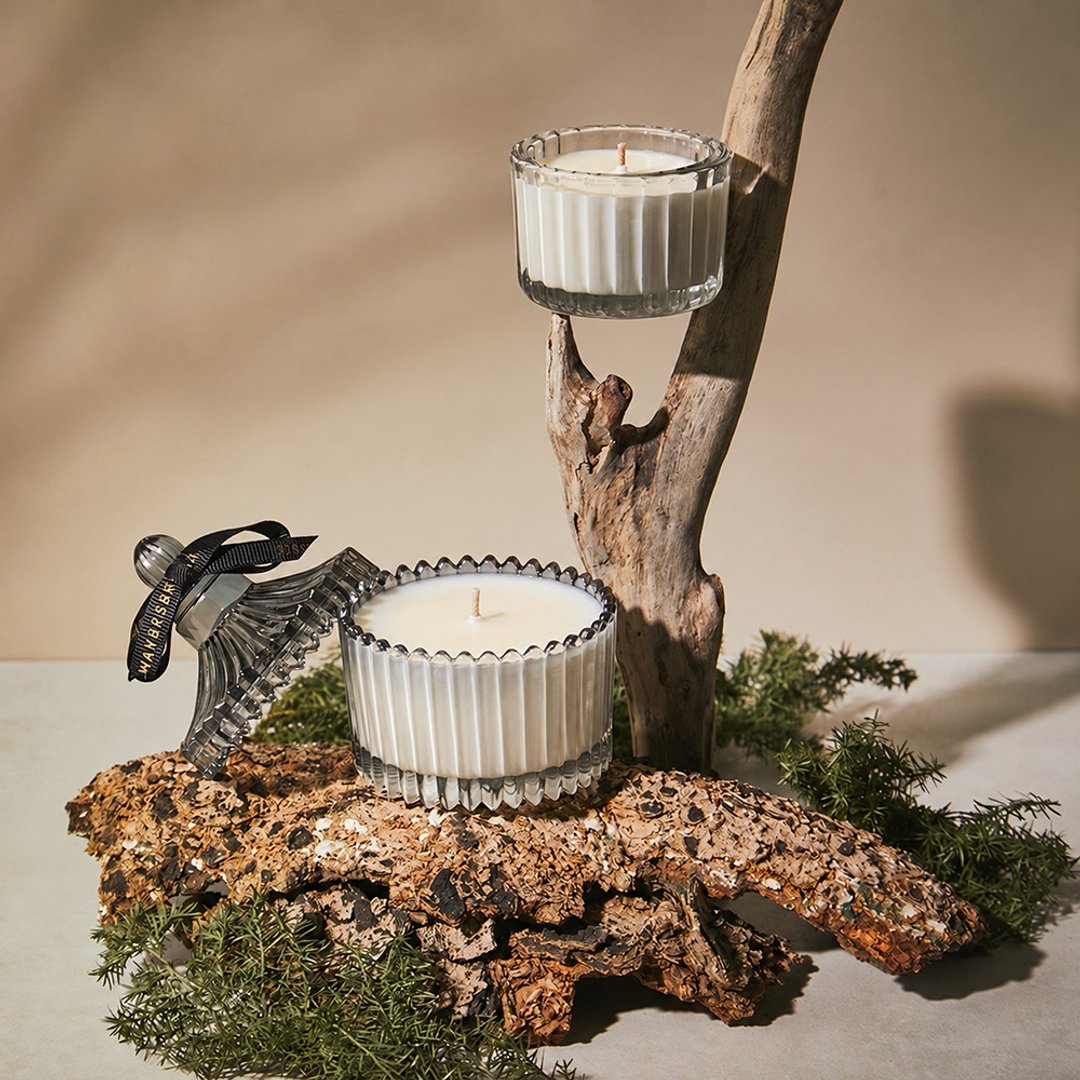 Rosewood wood 花若木香 / 干燥花香氛蜡烛 - 香薰/精油/线香 - 玻璃 银色