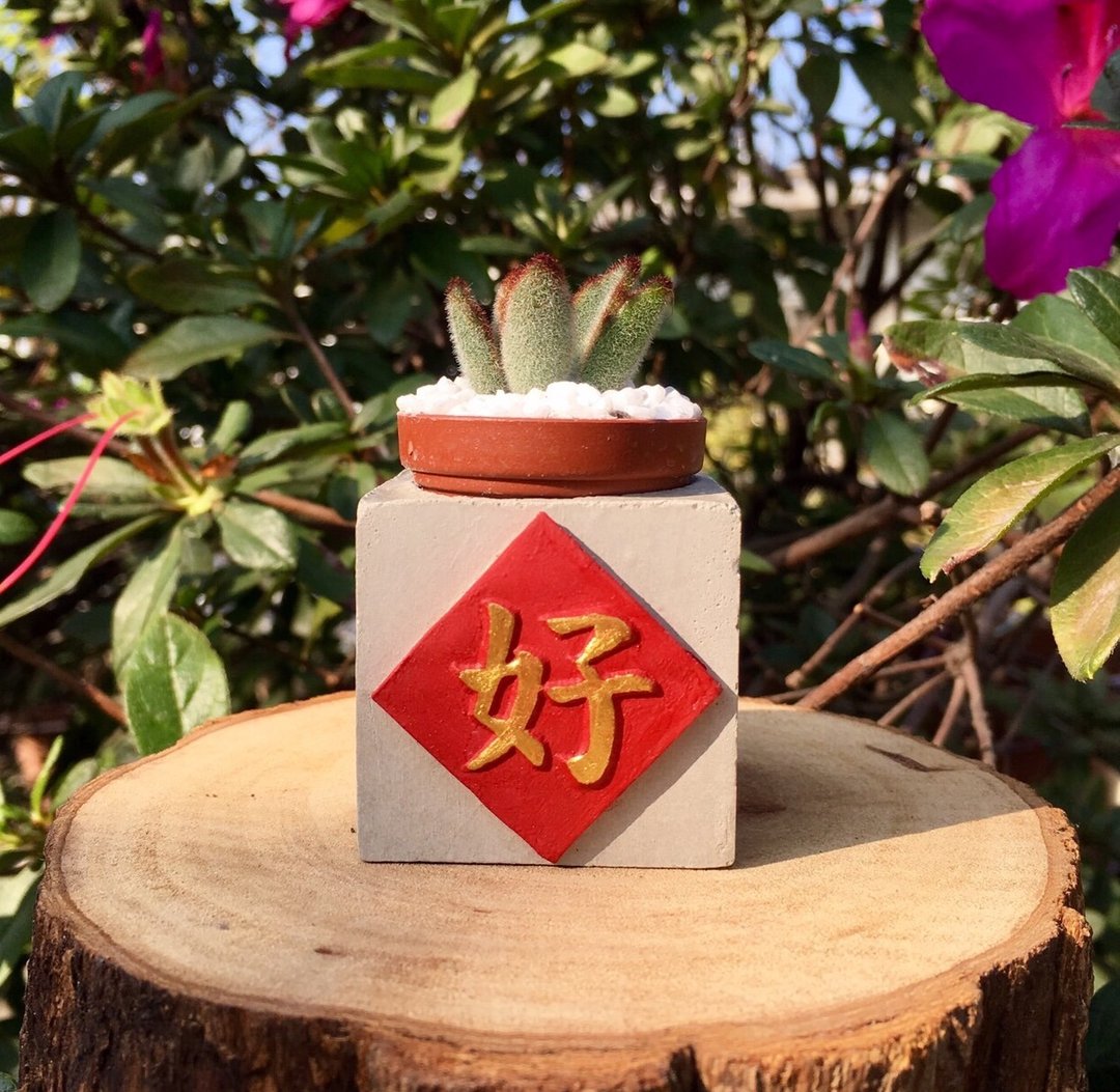 好 红通通!!新年磁铁盆栽 送多肉 - 植栽/盆栽 - 水泥 红色