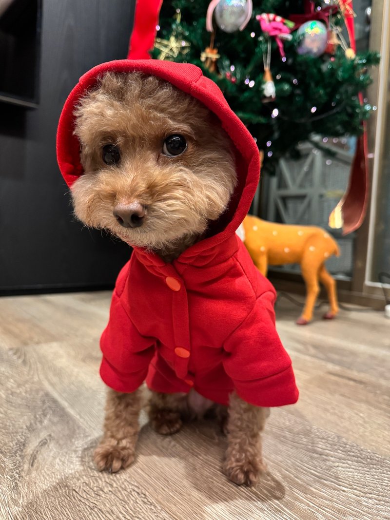 毛小孩过新年| 定制宠物姓名帽T - 衣/帽 - 棉．麻 红色