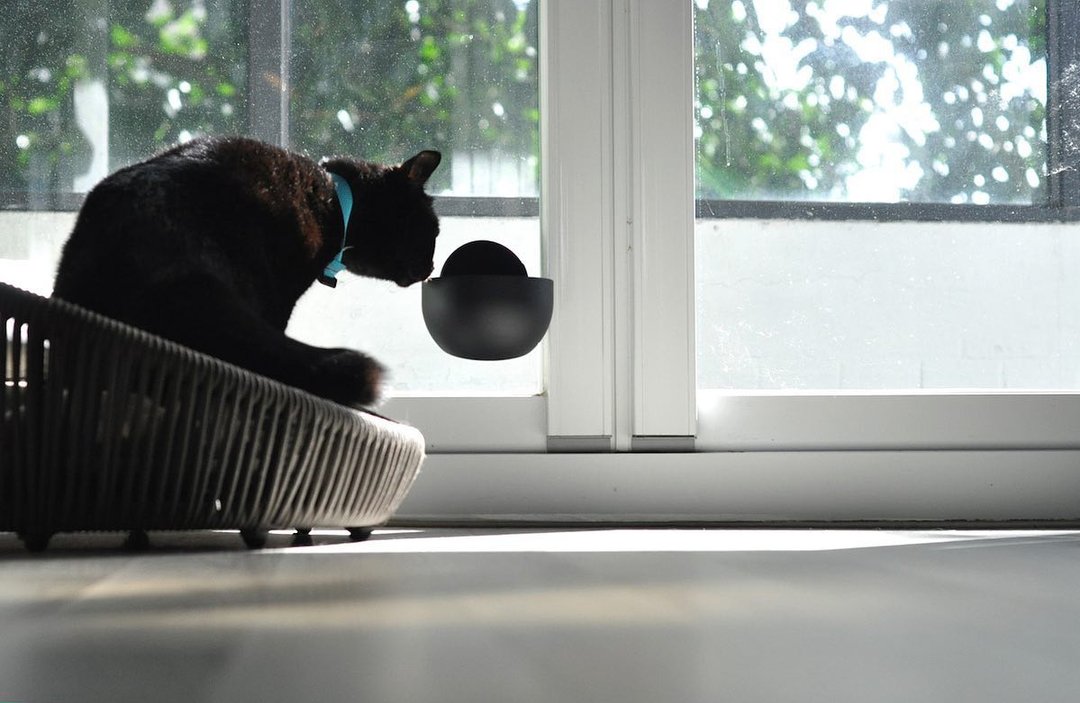 圣诞礼物宠物碗/Bubble猫咪/猫碗架/猫碗/宠物用品 /宠物饮 - 碗/碗架 - 塑料 白色