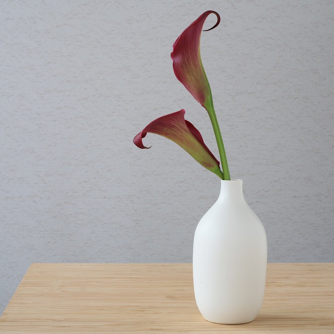 Long white pottery flower vase - 花瓶/陶器 - 瓷 白色