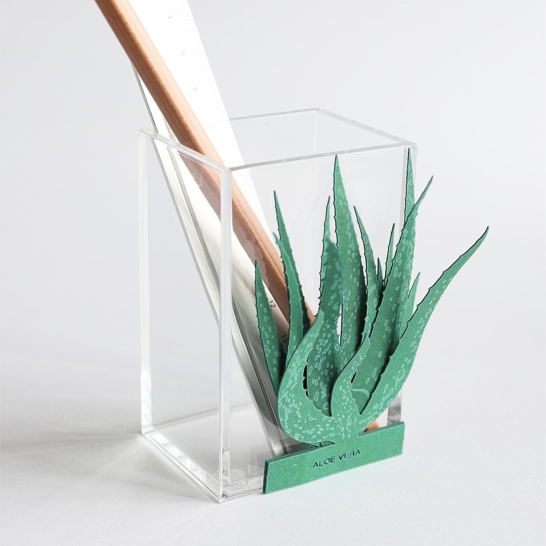 【立体植物贴纸】费拉芦荟 (605022) FingerART纸雕纸艺术 - 贴纸 - 纸 绿色