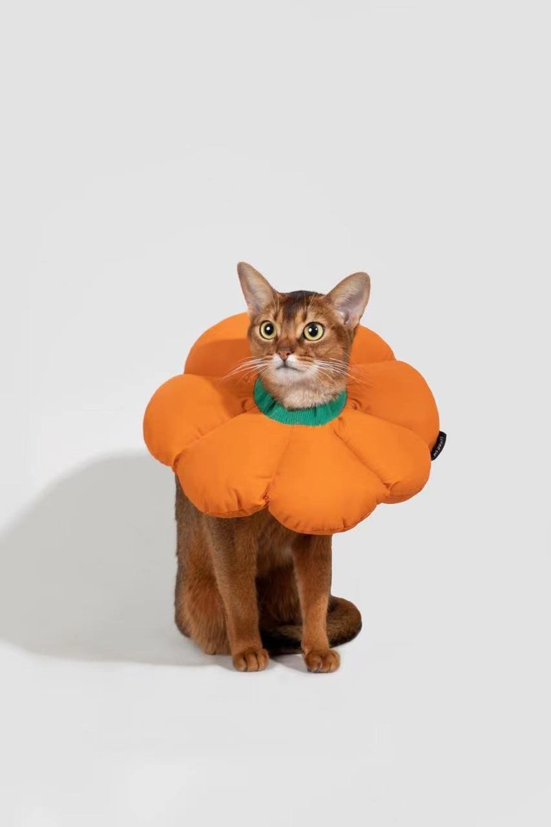 【HiDREAM】防水寵物伊莉莎白圈 花朵造型 (多色) - 项圈/牵绳 - 其他人造纤维 多色