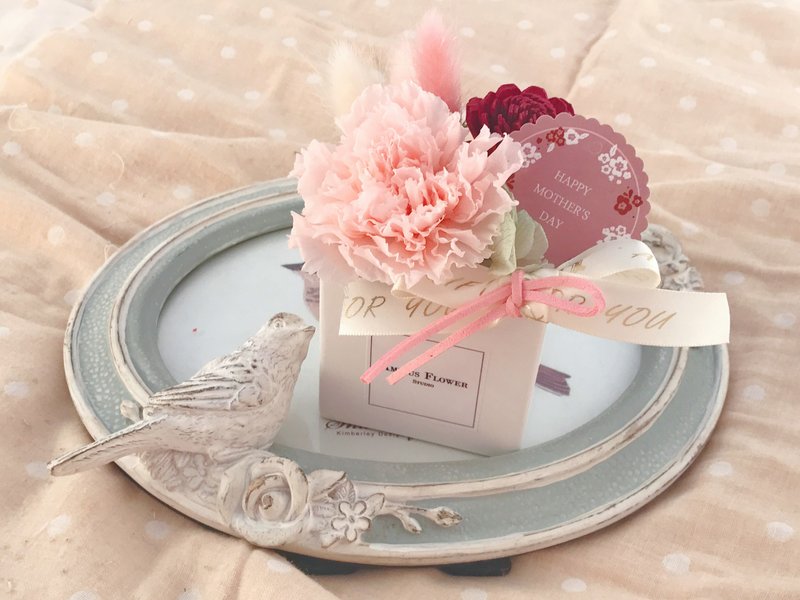 气质康乃馨不凋花礼 永生花/干燥花/玫瑰//定制/盆花 母亲节 礼物 - 摆饰 - 植物．花 多色