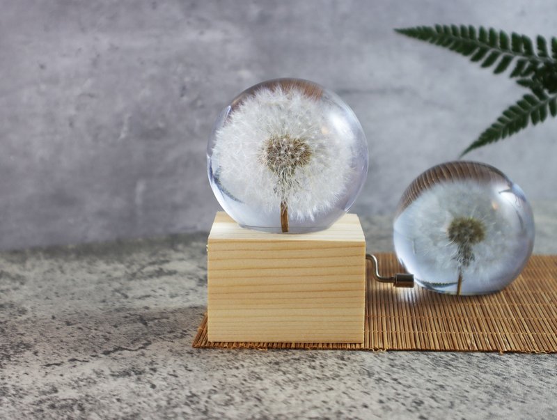 梦天涯 蒲公英冰砖~音乐盒(全圆) 手摇 - 摆饰 - 树脂 白色