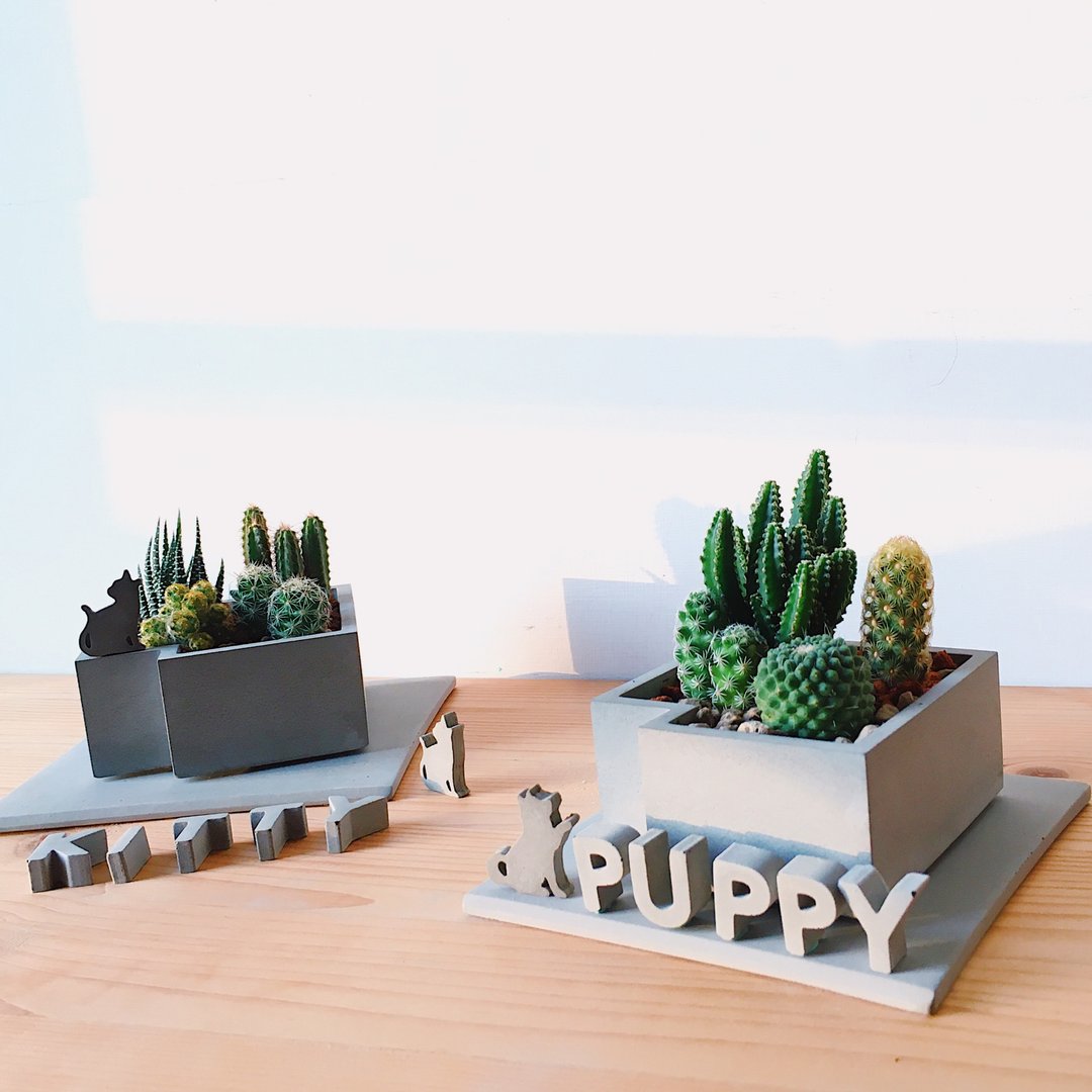 【动物派对庭院】迷你仙人掌造景 DIY 生日礼物 (可加购字母定制化) - 植栽/盆栽 - 水泥 