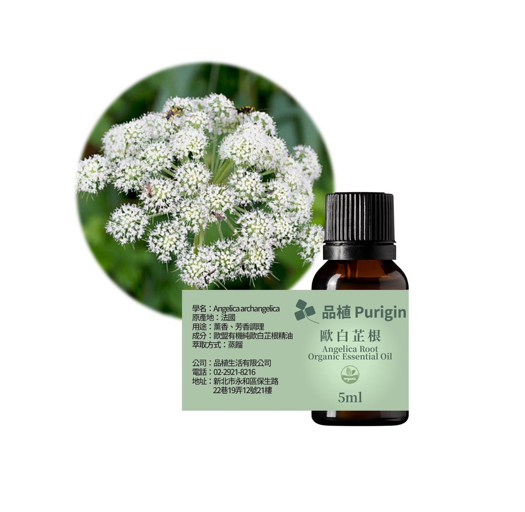品植 Purigin 欧白芷根 欧盟有机精油 - 香薰/精油/线香 - 精油 