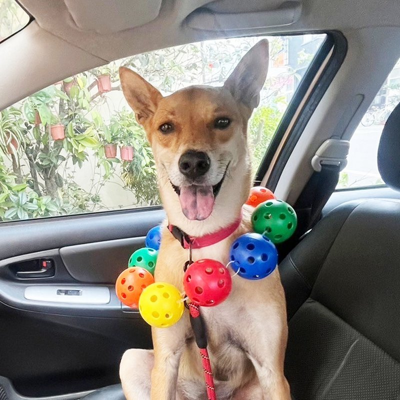 宠物玩具-  球球花圈10入组   毛孩洞洞球(含铃铛) - 玩具 - 其他材质 多色