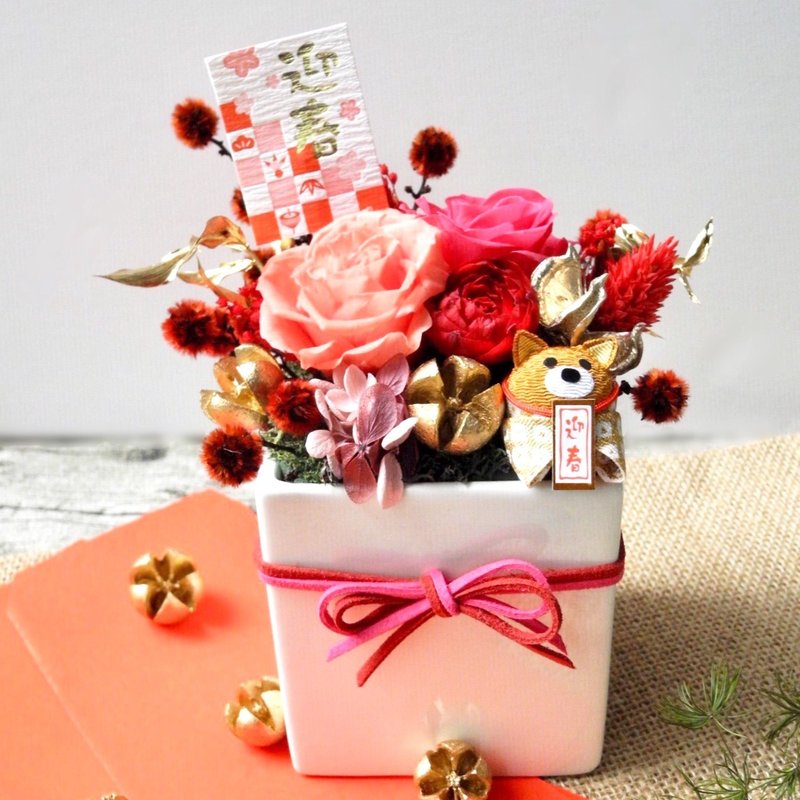 旺旺迎新春 春节过年花礼 - 植栽/盆栽 - 植物．花 红色