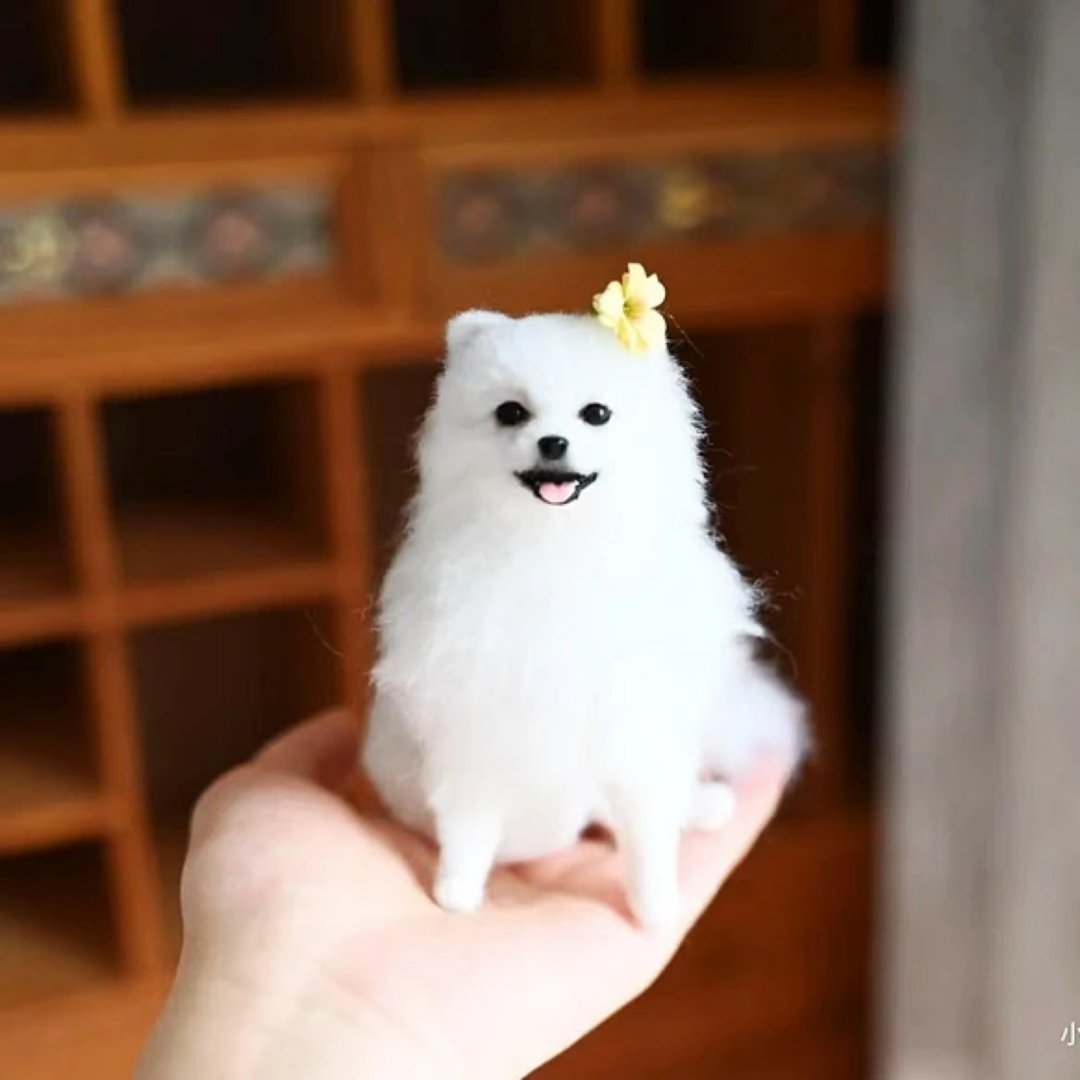 定制 逼真犬 毛孩 宠物 博美犬 羊毛毡 娃娃 似颜绘 纪念 狗狗 j1 - 玩具 - 羊毛 多色