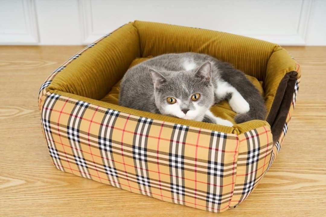 Mochi日本设计精致宠物窝、猫窝、宠物床 - 床垫/笼子 - 聚酯纤维 黄色