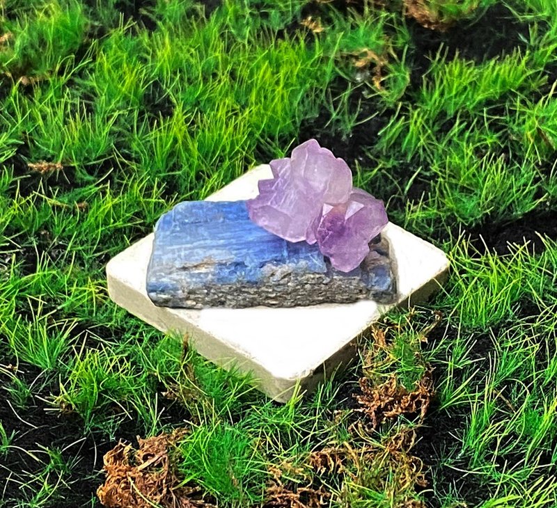 紫晶骨干晶花 | 蓝晶石 | 沟通 表达 观察力 避邪化煞 招财增智慧 - 摆饰 - 水晶 多色