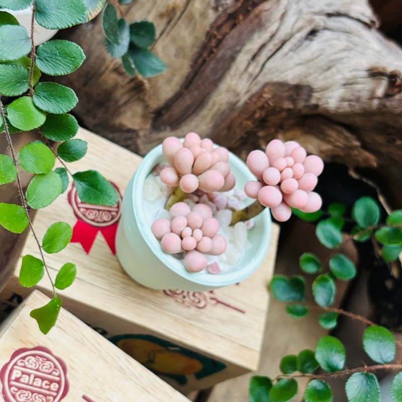 多肉下午茶 黏土 手作 微型多肉植物 - 摆饰 - 植物．花 