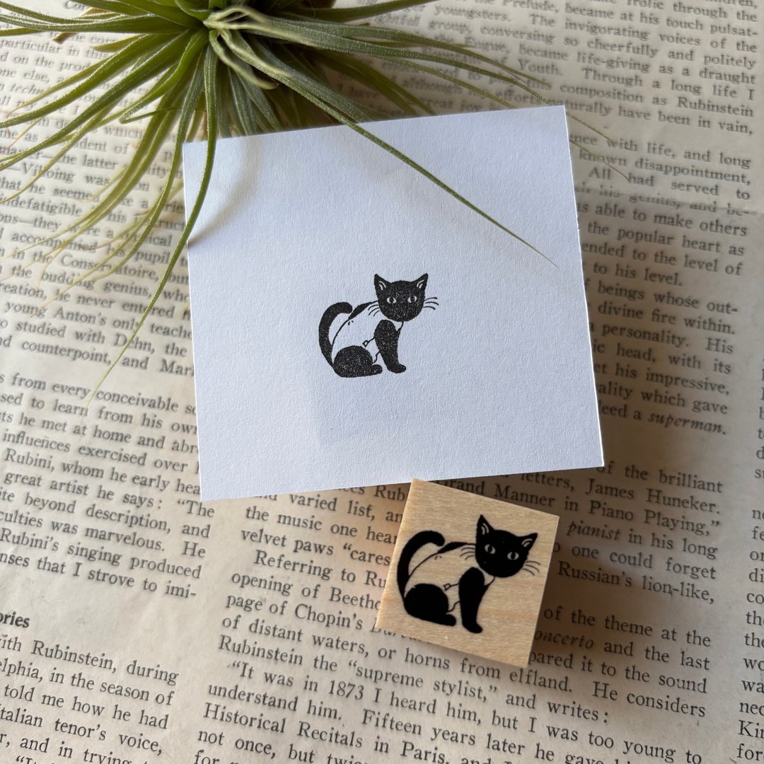 连身衣黑猫印章 - 印章/印台 - 橡胶 