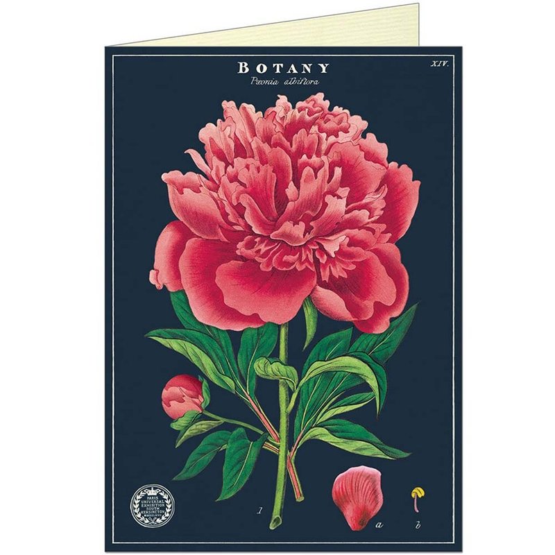 Cavallini & Co.  GREETING CARD 万用卡(大)_植物学之芍药花 - 卡片/明信片 - 纸 多色